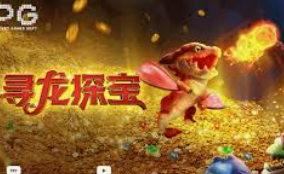 星空综合app正式版