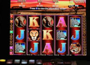 星空综合app2024最新版