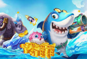 星空综合app免费版