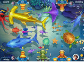 星空综合app手机版