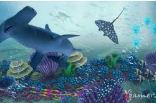 星空综合app桌面版客户端