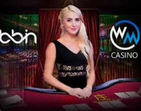 星空综合app客户端