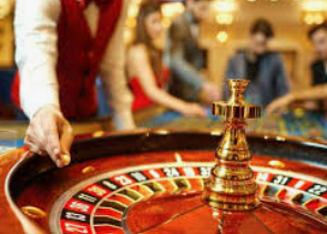 星空综合app免费版